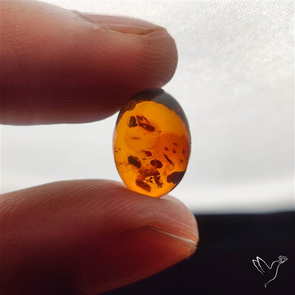 Baltic Amber Cabochon