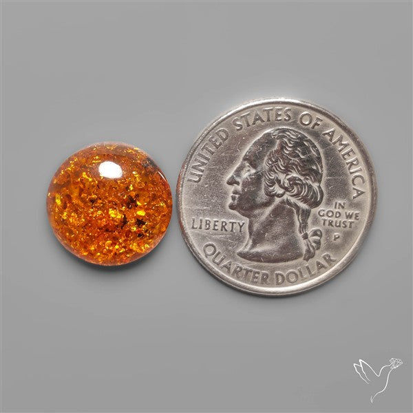 Baltic Amber Cabochon