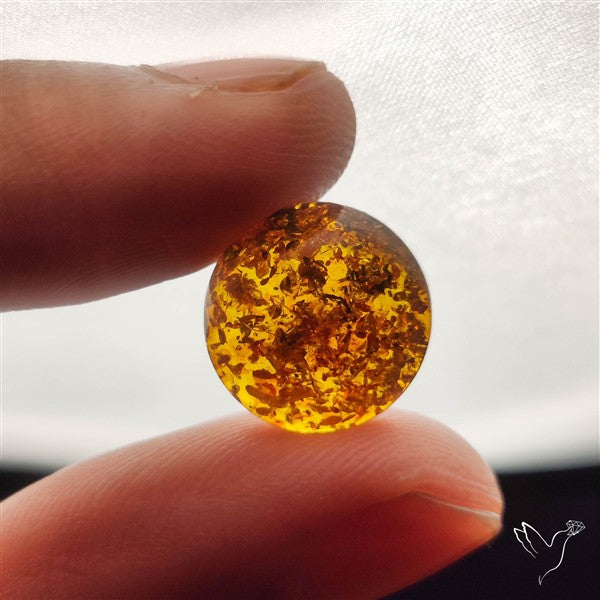 Baltic Amber Cabochon