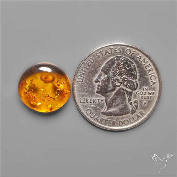 Baltic Amber Cabochon