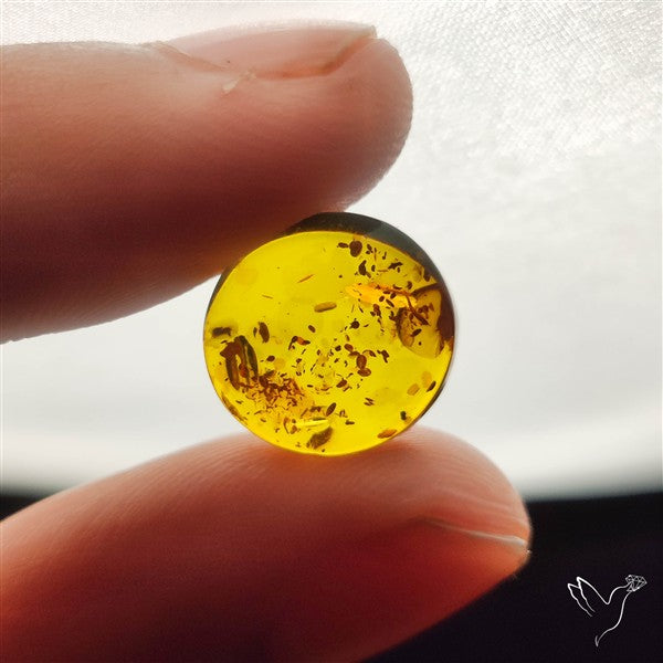 Baltic Amber Cabochon