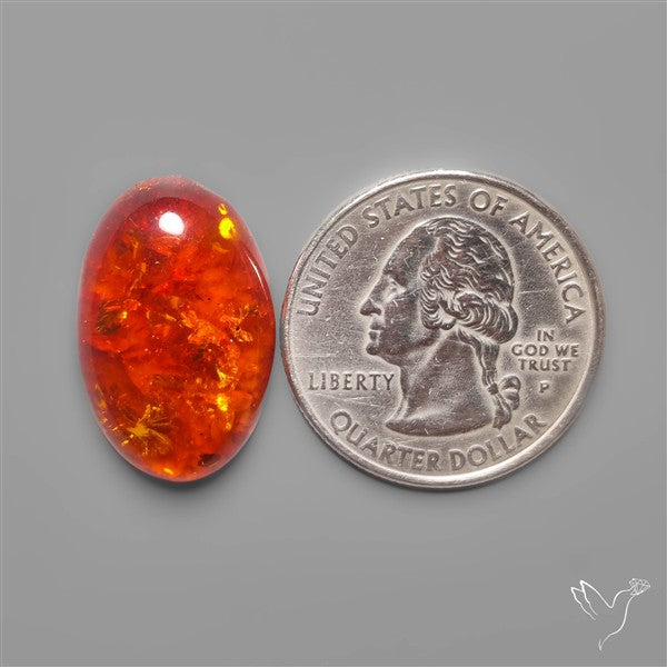 Baltic Amber Cabochon