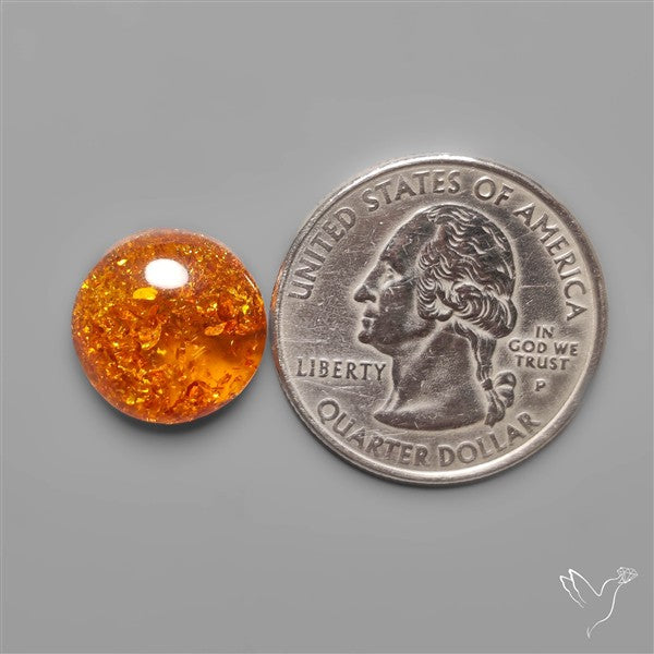 Baltic Amber Cabochon