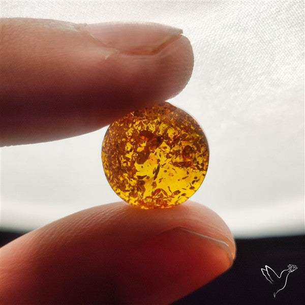 Baltic Amber Cabochon
