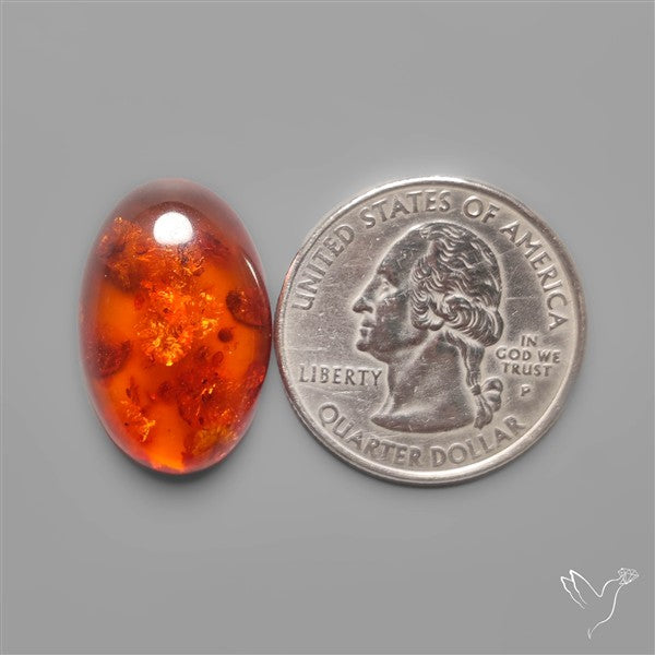 Baltic Amber Cabochon