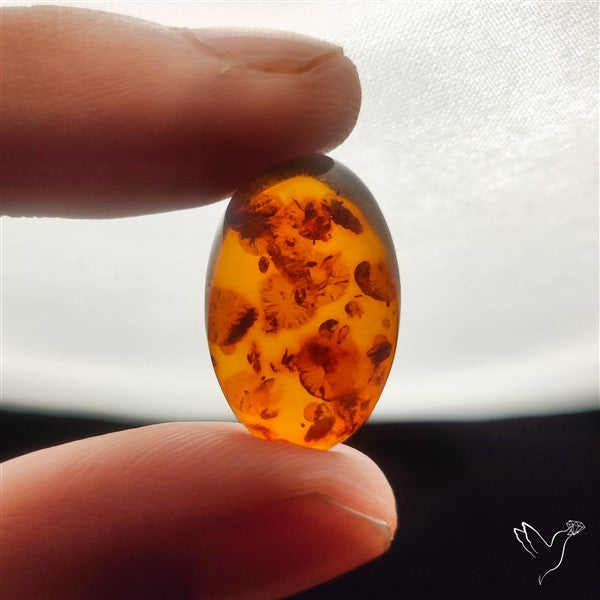 Baltic Amber Cabochon