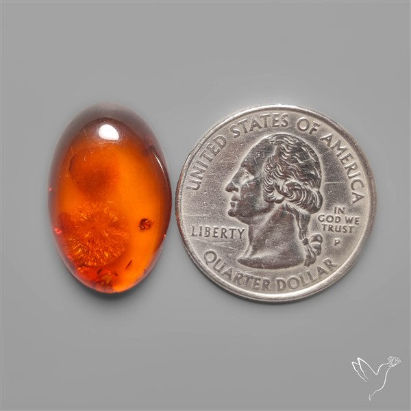 Baltic Amber Cabochon