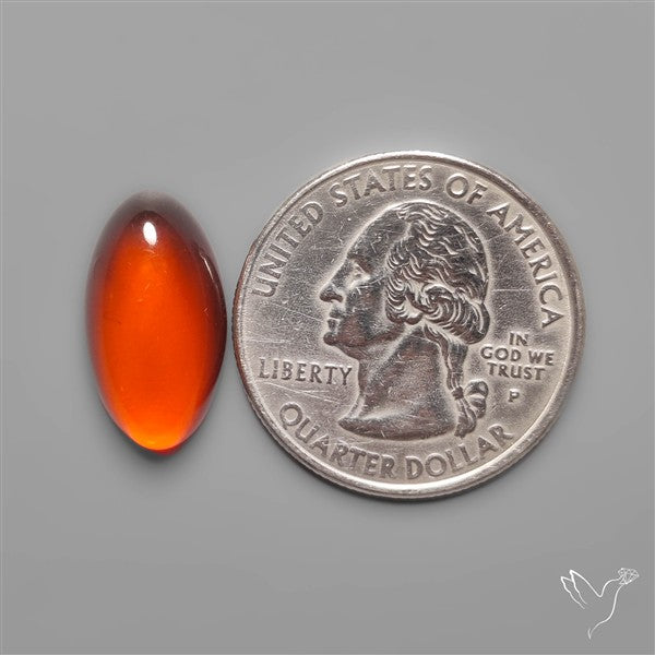 Baltic Amber Cabochon