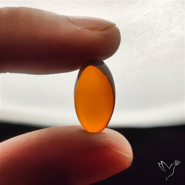 Baltic Amber Cabochon