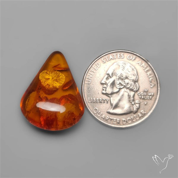 Baltic Amber Cabochon (not flat backed)
