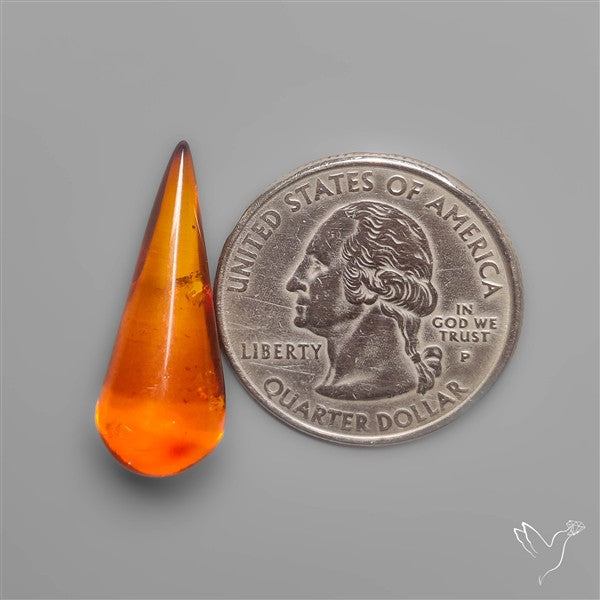 Baltic Amber Cabochon (not flat backed)
