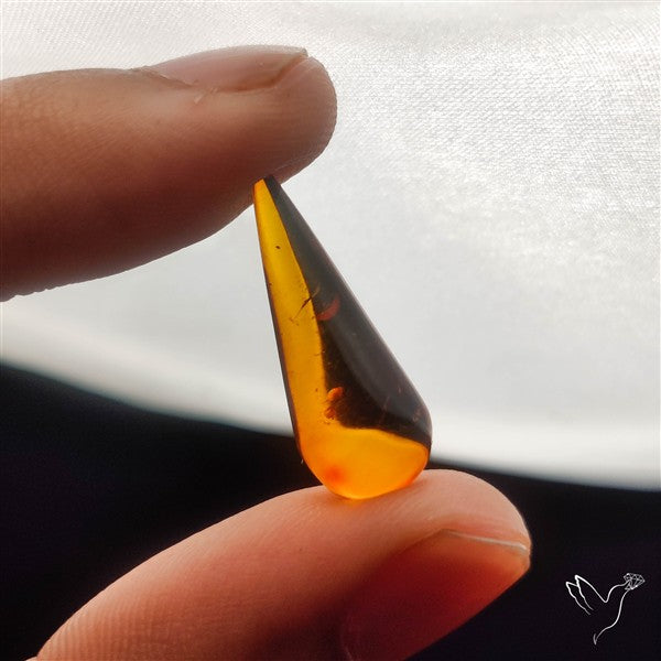 Baltic Amber Cabochon (not flat backed)