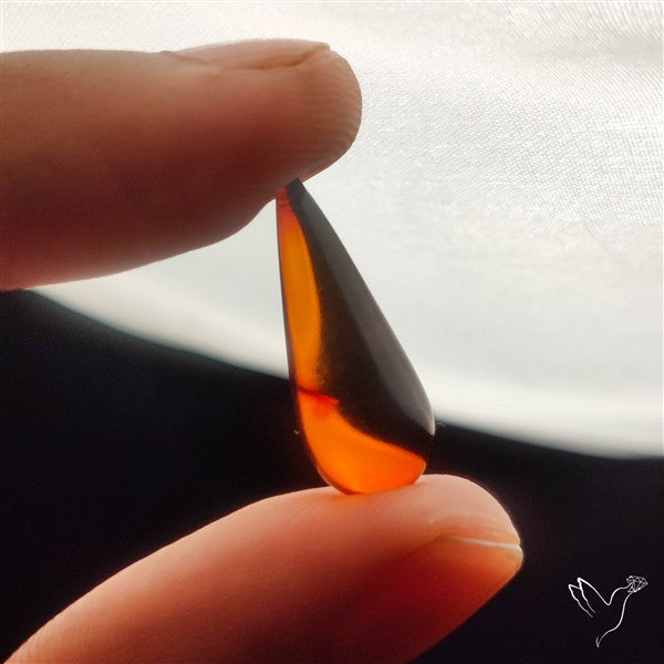 Baltic Amber Cabochon (not flat backed)