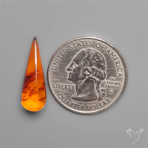 Baltic Amber Cabochon (not flat backed)