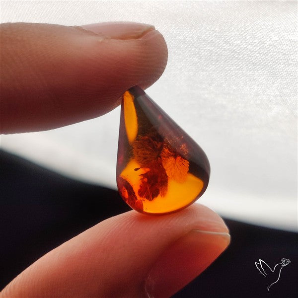 Baltic Amber Cabochon (not flat backed)