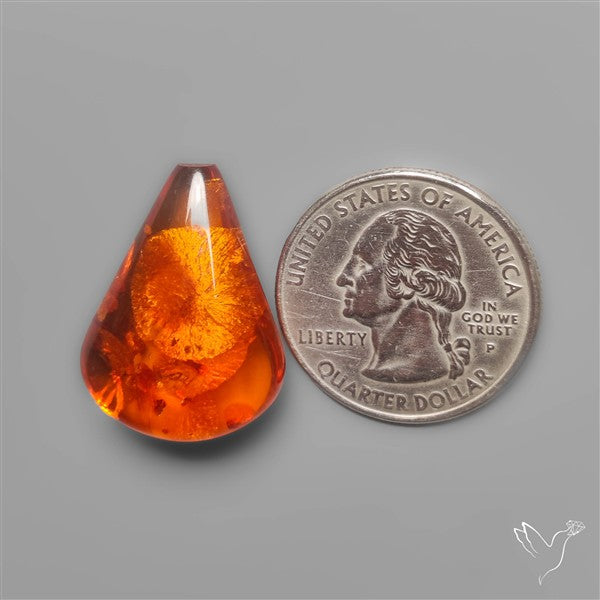 Baltic Amber Cabochon (not flat backed)