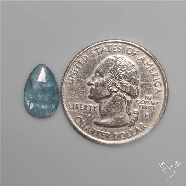 Rose Cut Paraiba Blue Kyanite