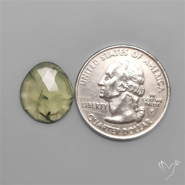 Rose Cut Black Tourmalinated Prehnite