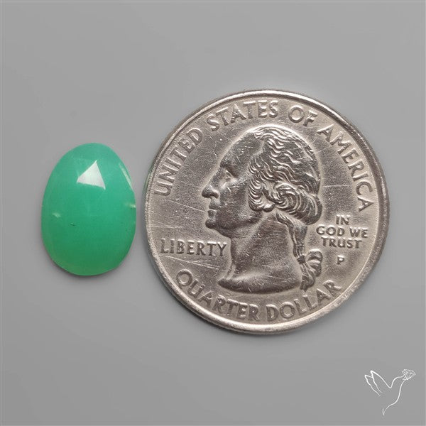 Rose Cut Gemmy Chrysoprase