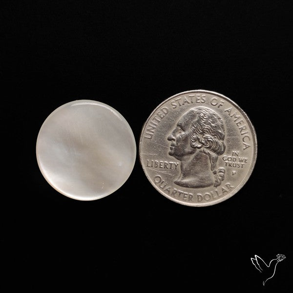 Mother Of Pearl Cabochon