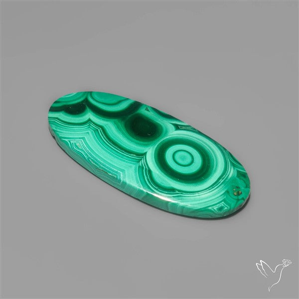 Orbicular Congo Malachite Cabochon