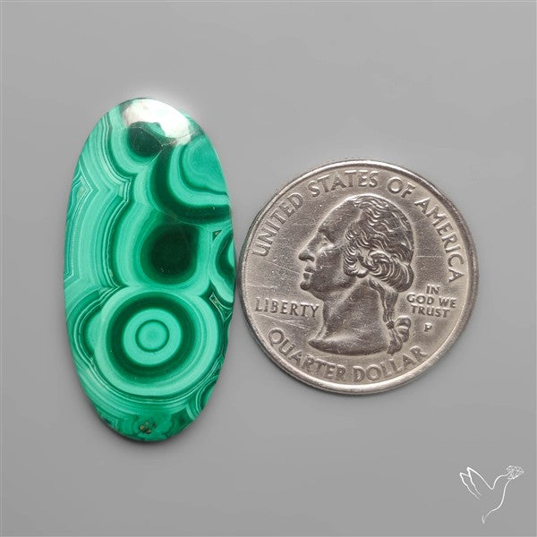 Orbicular Congo Malachite Cabochon