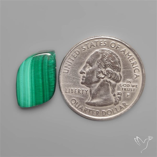 Congo Malachite Cabochon