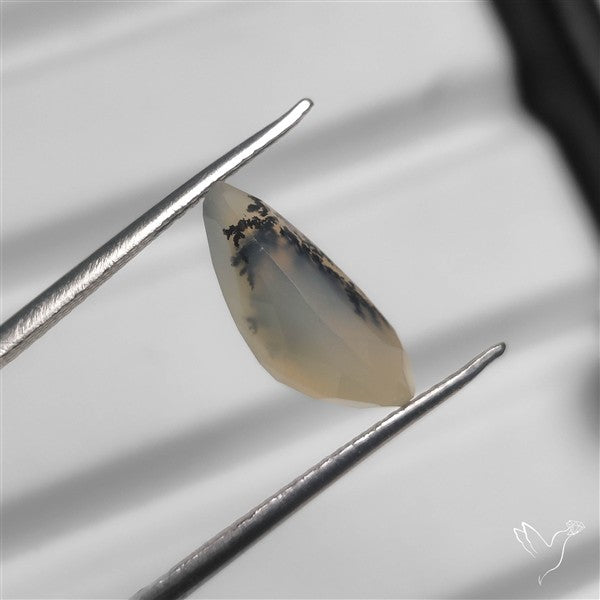Faceted Scenic Agate