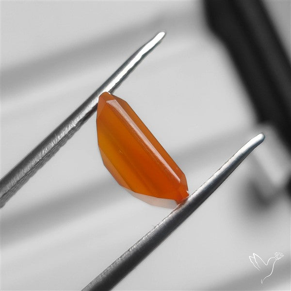 Faceted Carnelian Agate