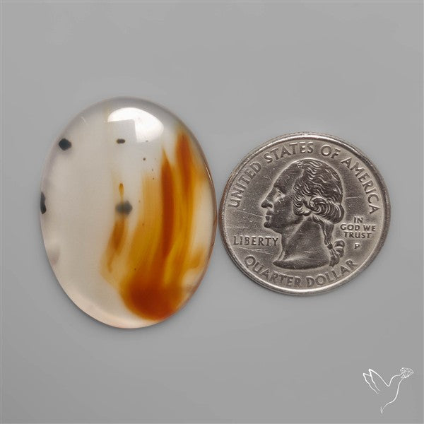 Montana Agate