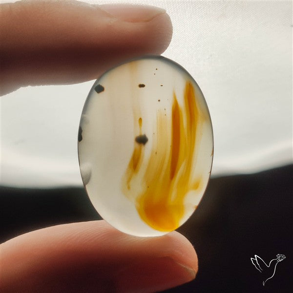 Montana Agate