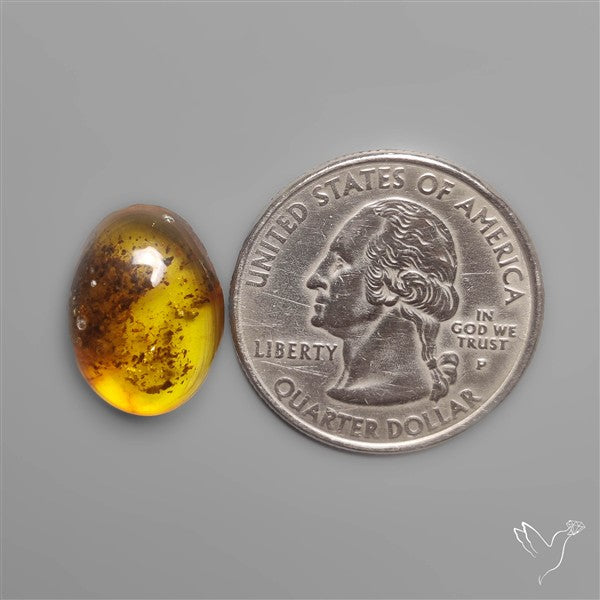 Poland Amber Cabochon