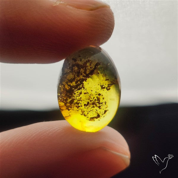 Poland Amber Cabochon