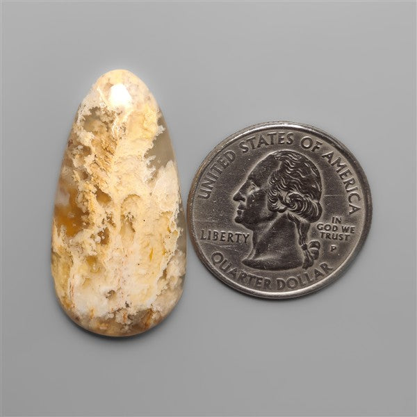 Northridge Plume Agate Cabochon