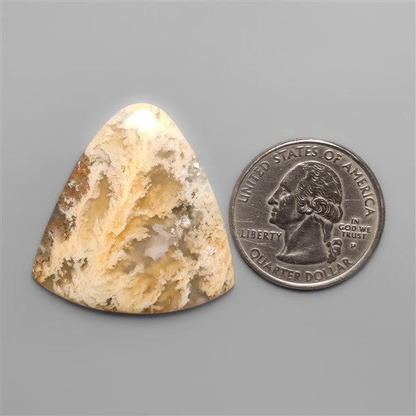 Northridge Plume Agate Cabochon