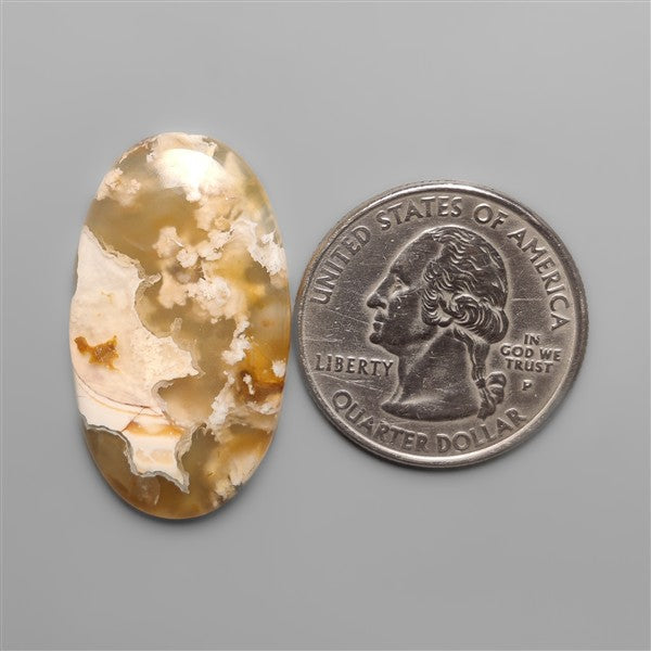 Northridge Plume Agate Cabochon