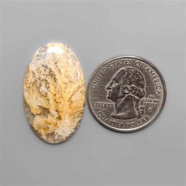 Northridge Plume Agate Cabochon