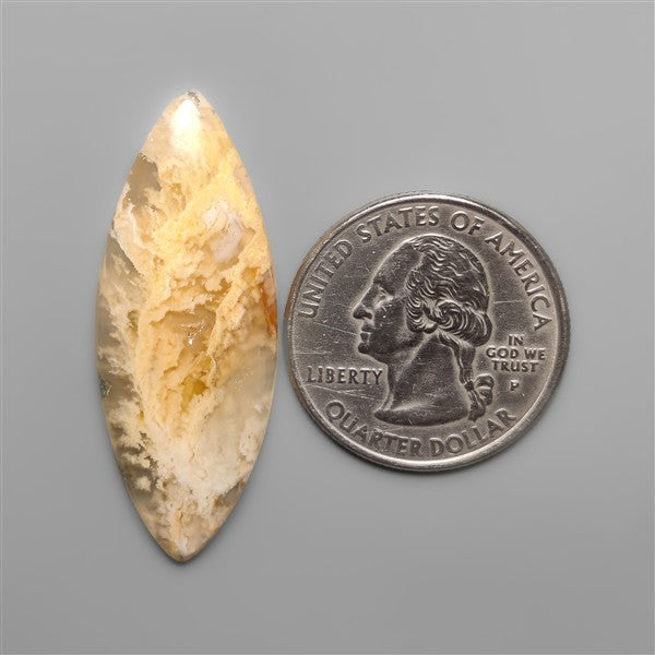 Northridge Plume Agate Cabochon