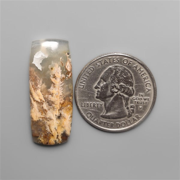 Northridge Plume Agate Cabochon