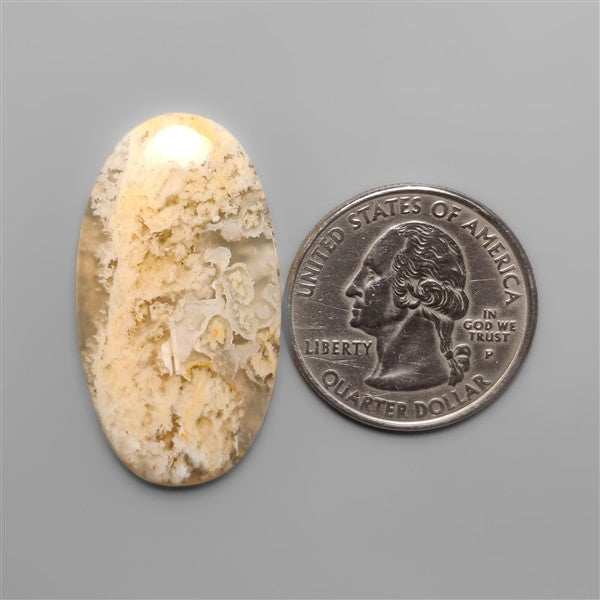 Northridge Plume Agate Cabochon