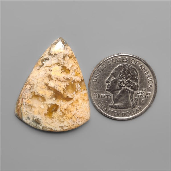 Northridge Plume Agate Cabochon