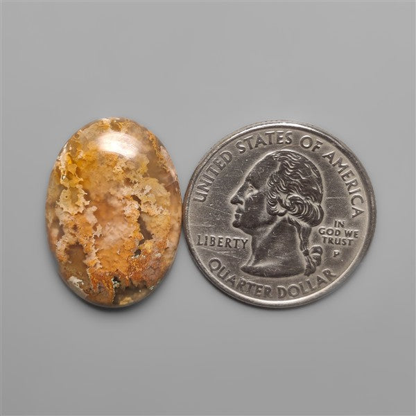 Northridge Plume Agate Cabochon