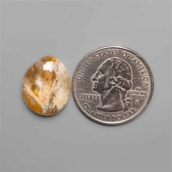 Northridge Plume Agate Cabochon