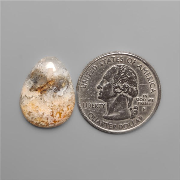 Northridge Plume Agate Cabochon