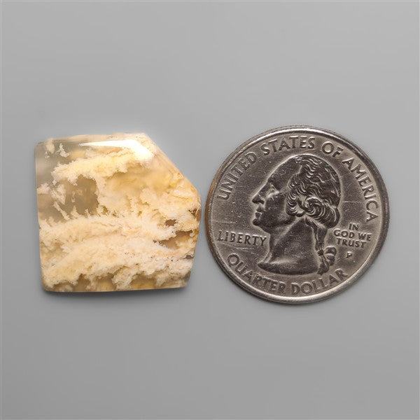 Northridge Plume Agate Cabochon