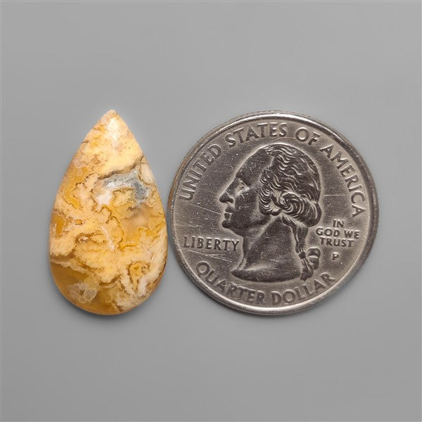 Northridge Plume Agate Cabochon