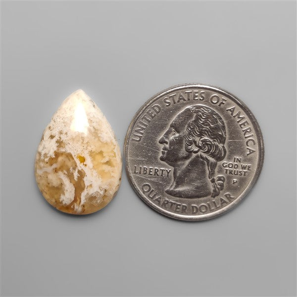 Northridge Plume Agate Cabochon