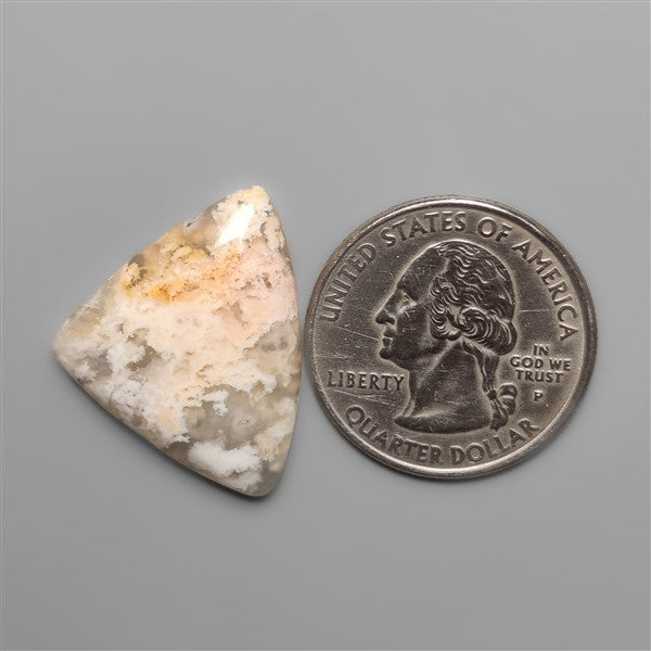 Northridge Plume Agate Cabochon