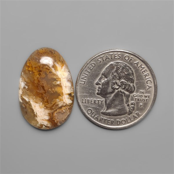 Northridge Plume Agate Cabochon