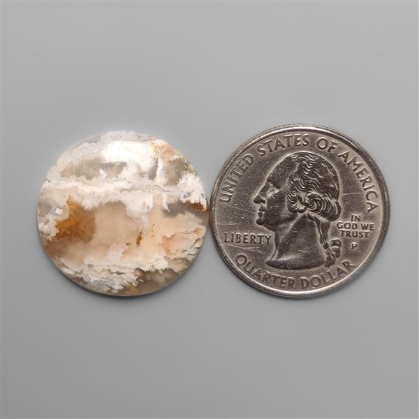 Northridge Plume Agate Cabochon